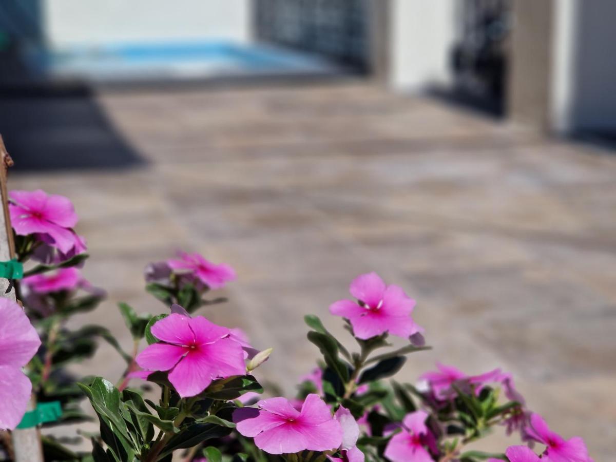 Вілла Del Parque Flats Balneario De Pina Малага Екстер'єр фото